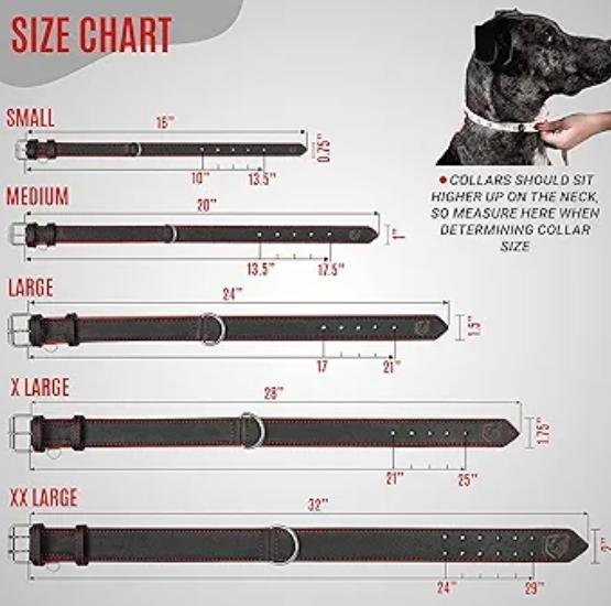 DESYNC INTERNATIONAL dog collar size chart showing Small through XX Large measurements